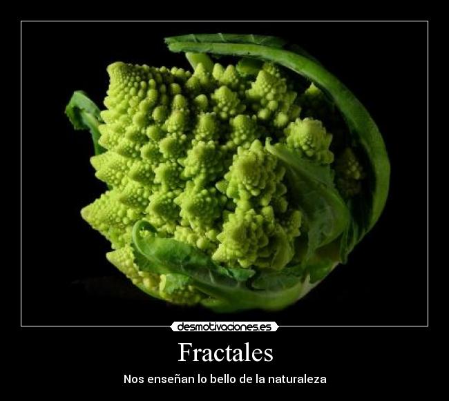 carteles fractares desmotivaciones