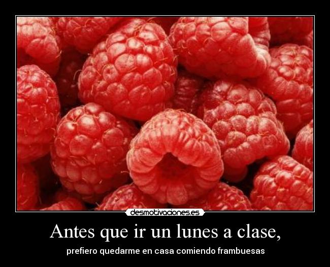 carteles frambuesas desmotivaciones