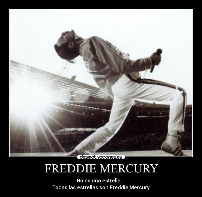 FREDDIE MERCURY - No es una estrella...
Todas las estrellas son Freddie Mercury
