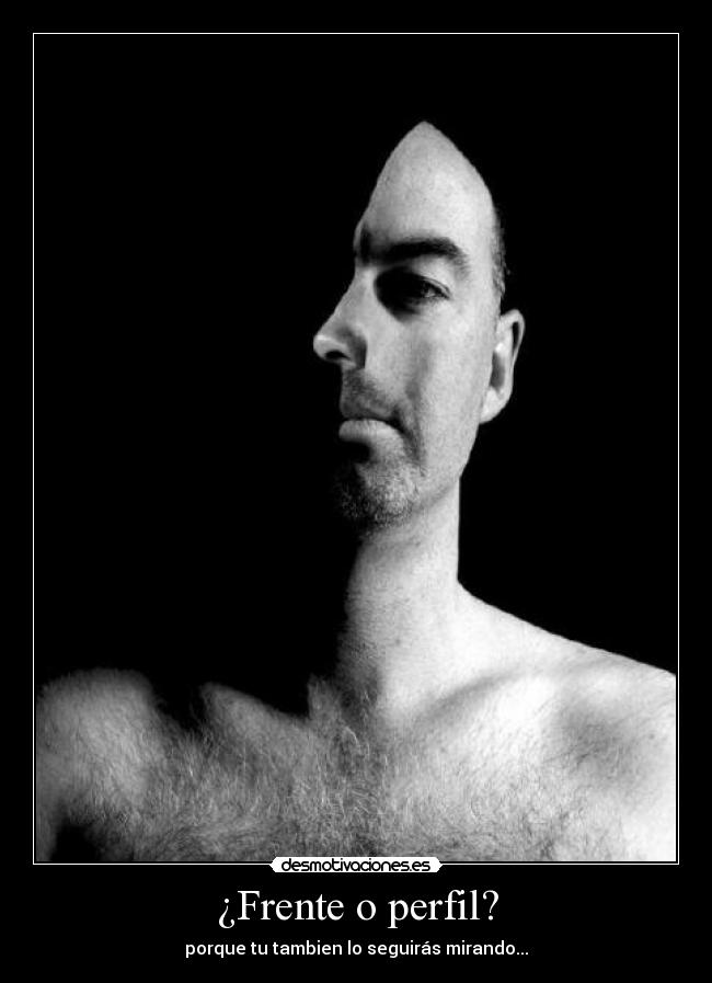 carteles frente perfil desmotivaciones