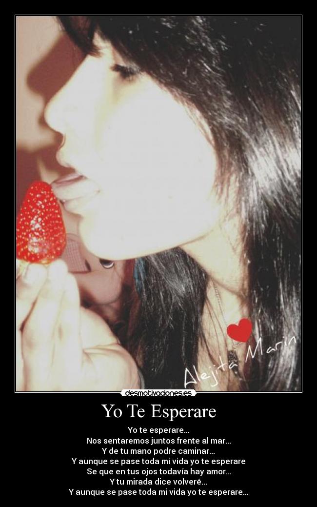 Yo Te Esperare - Yo te esperare...
Nos sentaremos juntos frente al mar...
Y de tu mano podre caminar...
Y aunque se pase toda mi vida yo te esperare
Se que en tus ojos todavía hay amor...
Y tu mirada dice volveré...
Y aunque se pase toda mi vida yo te esperare...