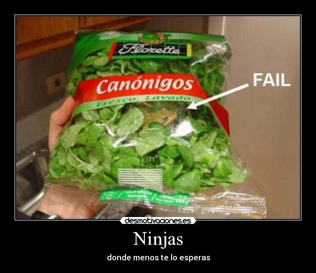 Ninjas - donde menos te lo esperas