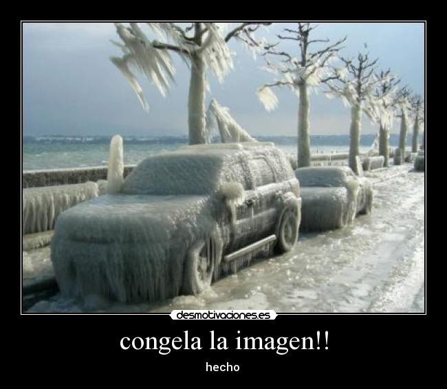 congela la imagen!! - hecho