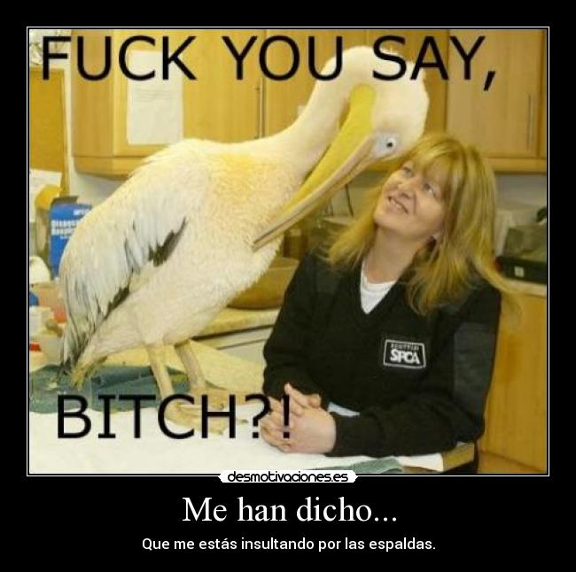 Me han dicho... - Que me estás insultando por las espaldas.
