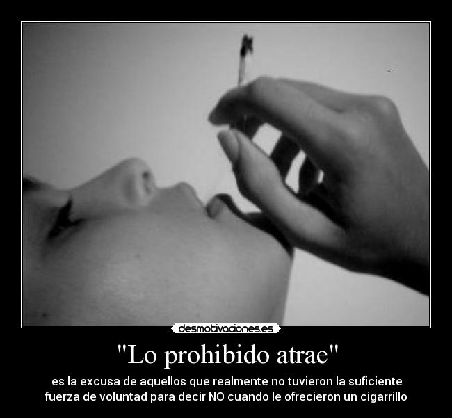 Lo prohibido atrae - 