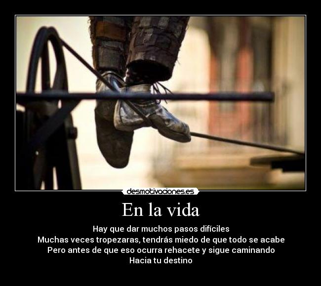 En la vida - 