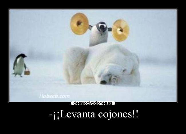 -¡¡Levanta cojones!! -