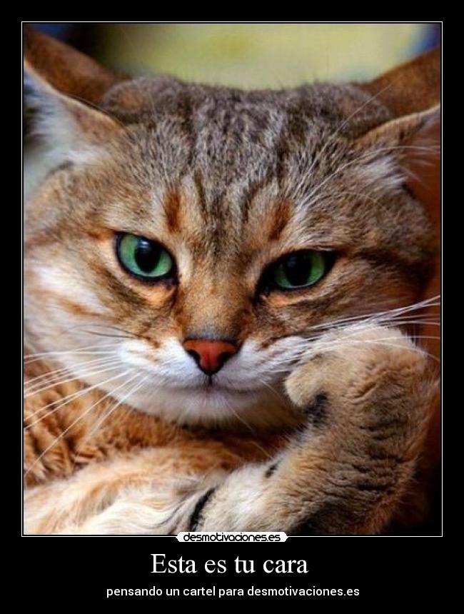 Esta es tu cara -