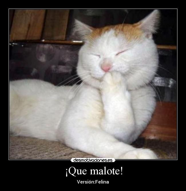 ¡Que malote! - 