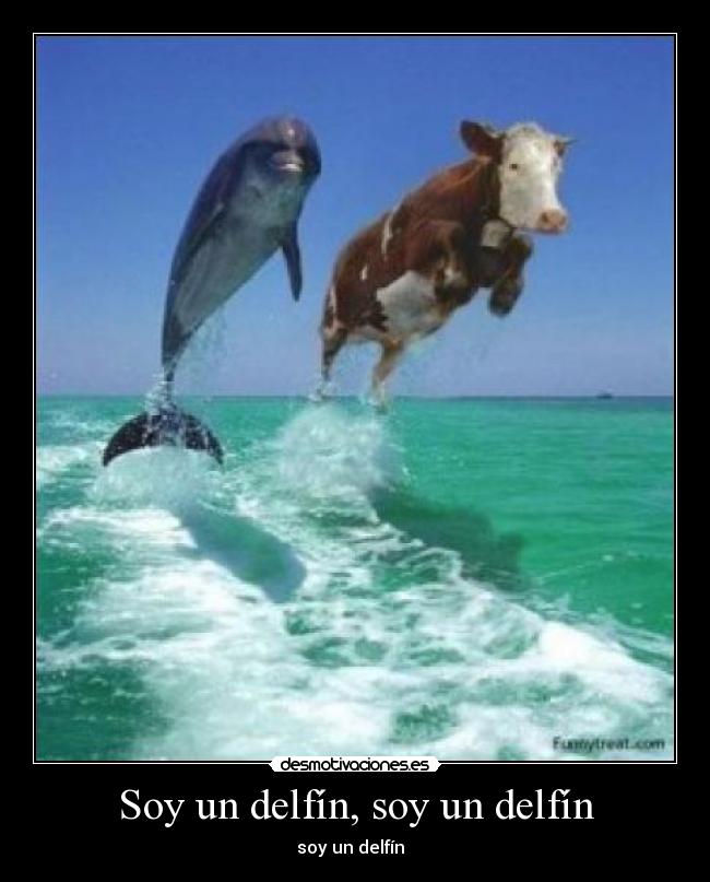 Soy un delfín, soy un delfín -