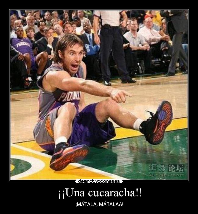 ¡¡Una cucaracha!! - ¡MÁTALA, MÁTALAA!