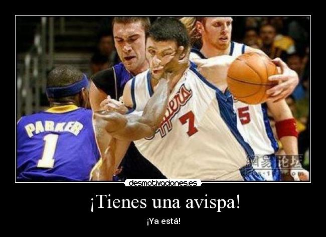 ¡Tienes una avispa! - ¡Ya está!