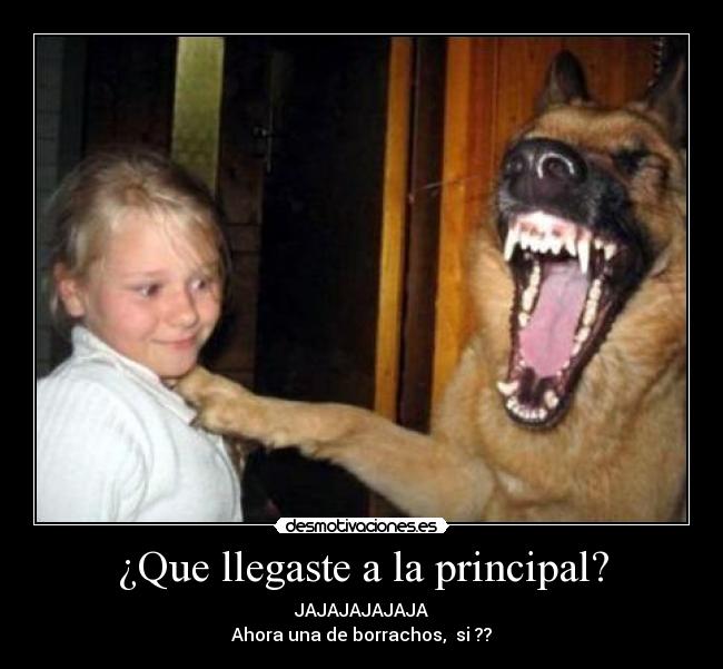 ¿Que llegaste a la principal? - JAJAJAJAJAJA
Ahora una de borrachos, si ??