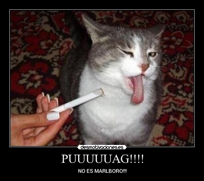 PUUUUUAG!!!! - NO ES MARLBORO!!!