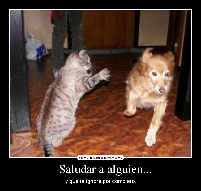 Saludar a alguien... - y que te ignore por completo.