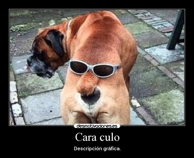 Cara culo -