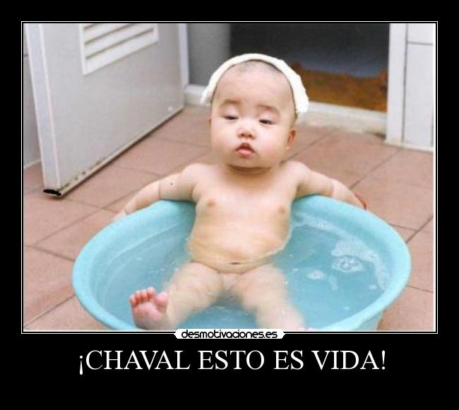 ¡CHAVAL ESTO ES VIDA! -