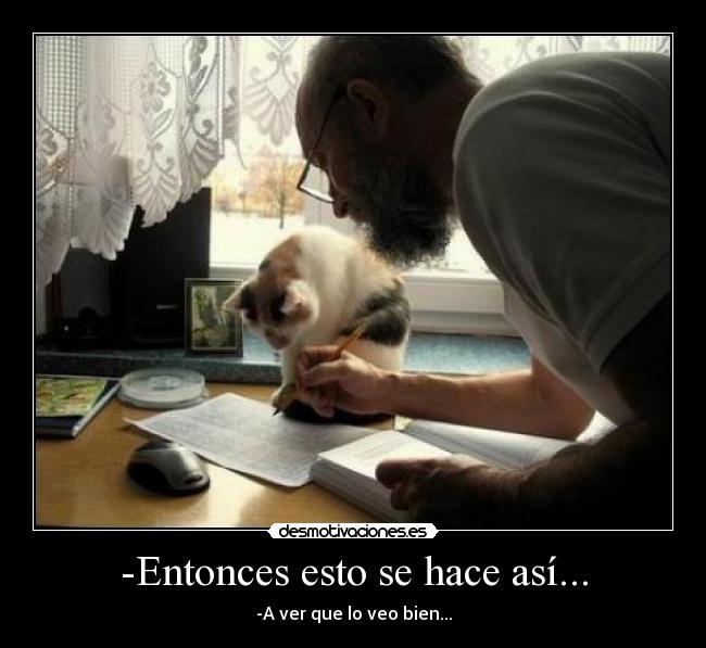 -Entonces esto se hace así... - -A ver que lo veo bien...