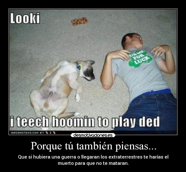 Porque tú también piensas... - 