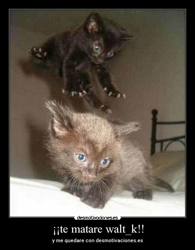 ¡¡te matare walt_k!! - y me quedare con desmotivaciones.es