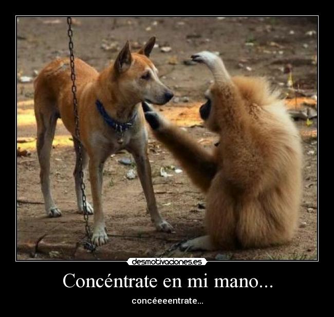 Concéntrate en mi mano... - concéeeentrate...