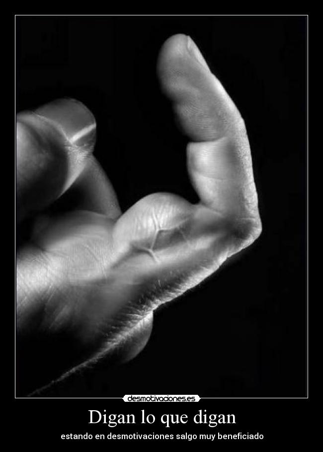 Digan lo que digan -