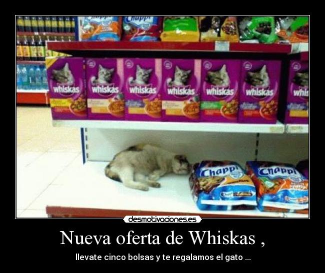 Nueva oferta de Whiskas , - 