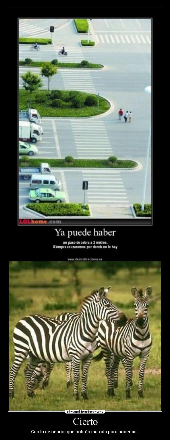 Cierto - Con la de cebras que habrán matado para hacerlos...