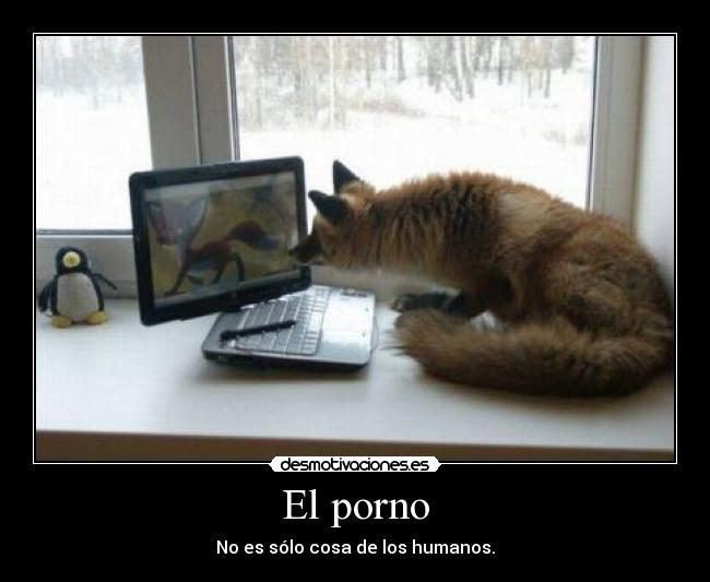 El porno -