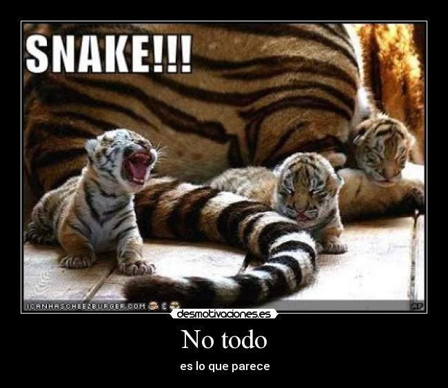 No todo - es lo que parece