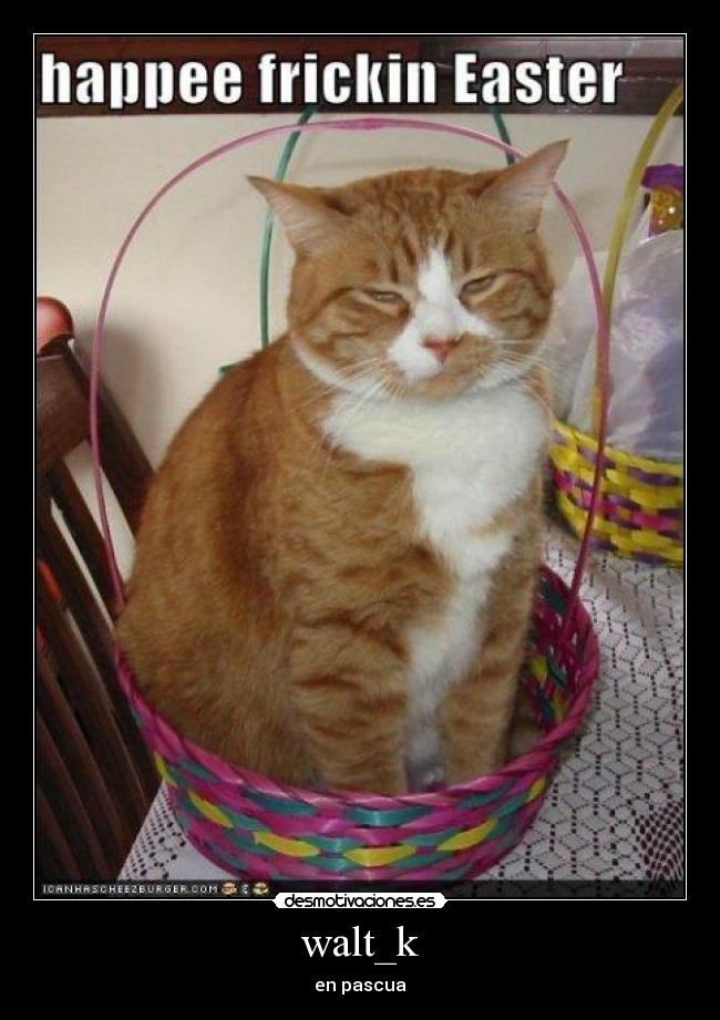 walt_k - en pascua