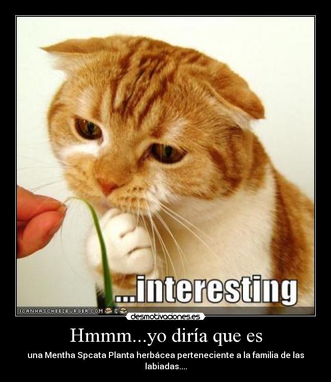 Hmmm...yo diría que es -