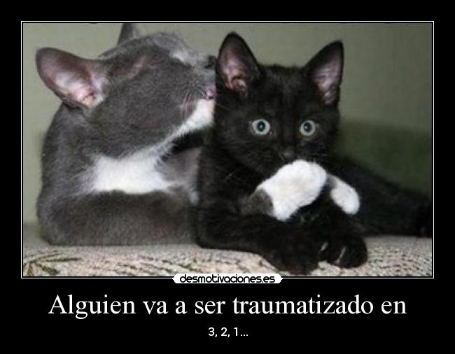 Alguien va a ser traumatizado en - 3, 2, 1...