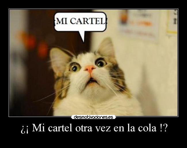 ¿¡ Mi cartel otra vez en la cola !? -