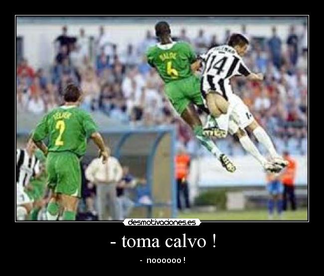 - toma calvo ! - - noooooo !