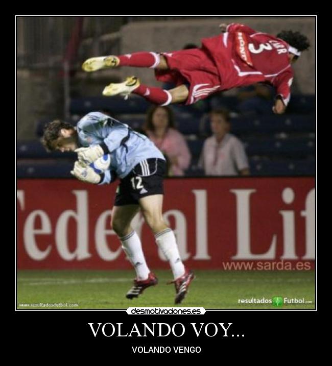 VOLANDO VOY... - 