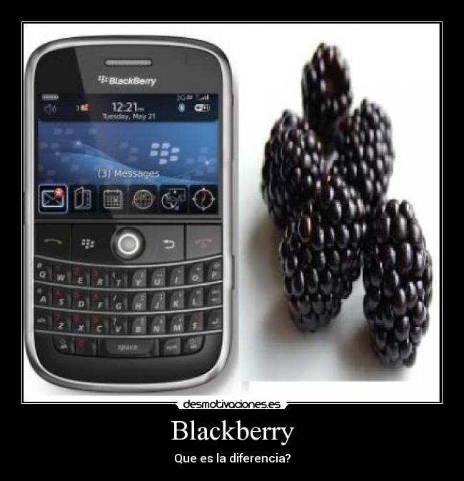 Blackberry - 