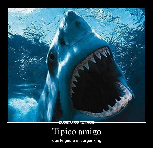 Tipico amigo -