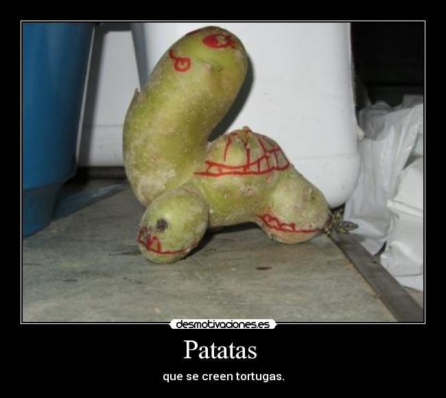 Patatas  - que se creen tortugas.