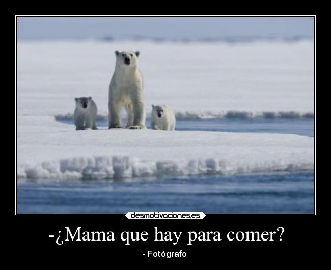 -¿Mama que hay para comer? - - Fotógrafo 