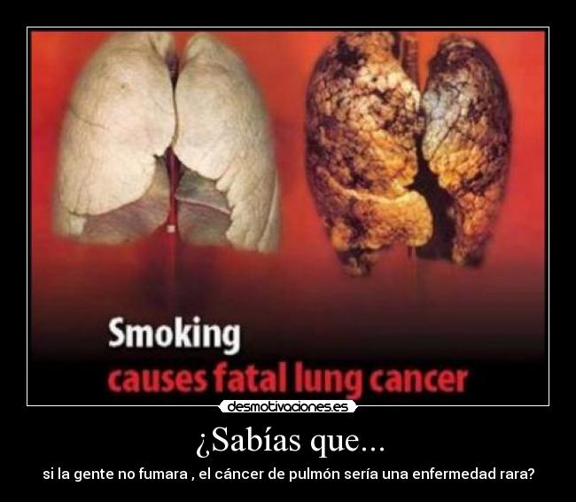 ¿Sabías que... - si la gente no fumara , el cáncer de pulmón sería una enfermedad rara?