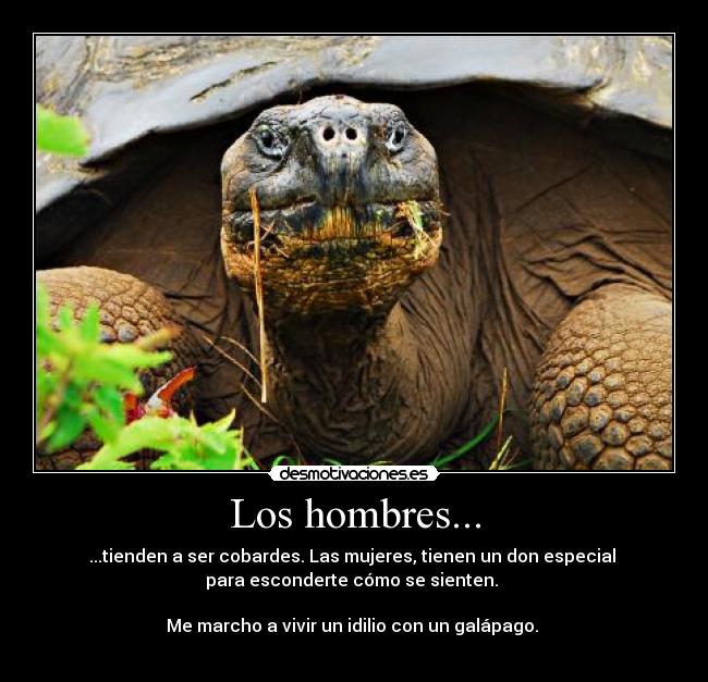 Los hombres... - ...tienden a ser cobardes. Las mujeres, tienen un don especial
para esconderte cómo se sienten.
Me marcho a vivir un idilio con un galápago.