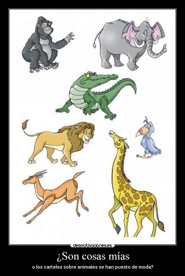 carteles animales moda carteles desmotivaciones