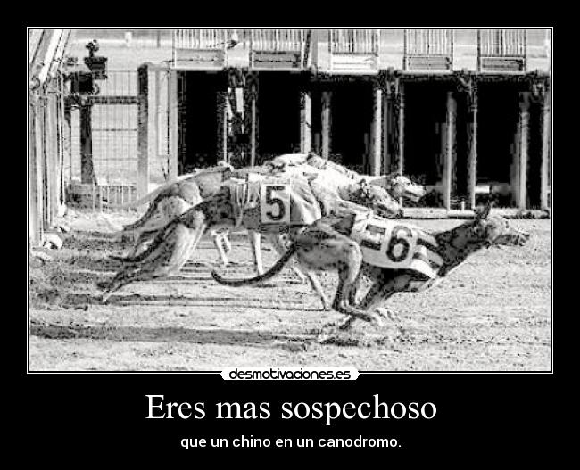 Eres mas sospechoso - que un chino en un canodromo.
