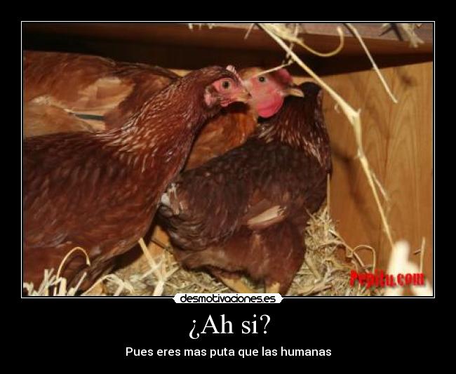 ¿Ah si? - Pues eres mas puta que las humanas