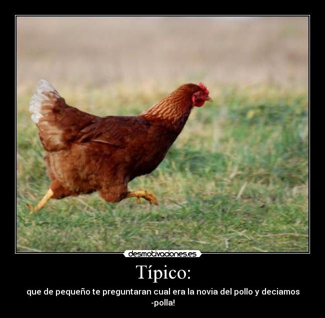 Típico: - que de pequeño te preguntaran cual era la novia del pollo y deciamos -polla!
