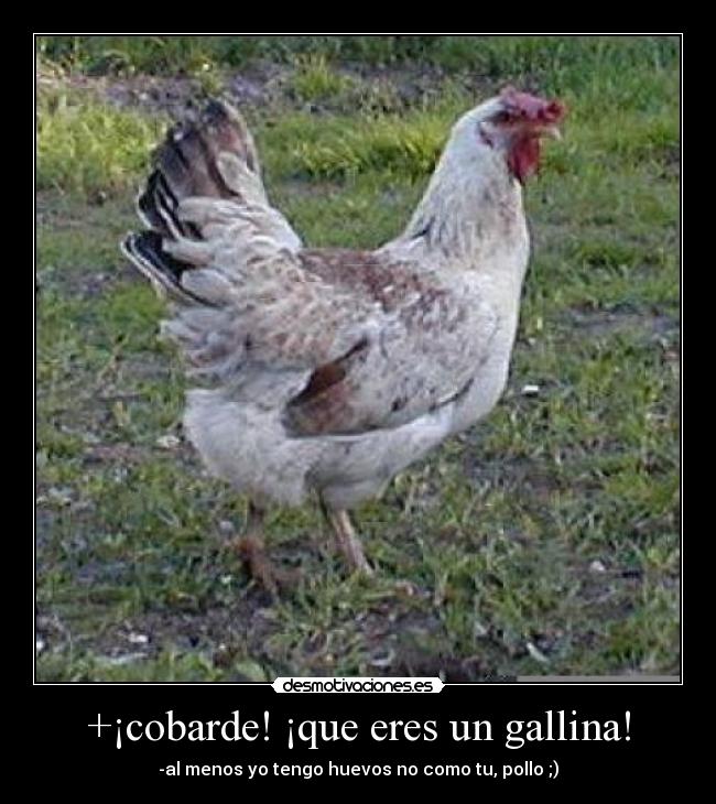 +¡cobarde! ¡que eres un gallina! - -al menos yo tengo huevos no como tu, pollo ;)