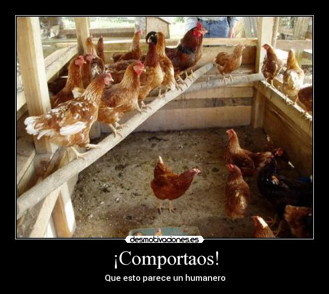 ¡Comportaos! - Que esto parece un humanero