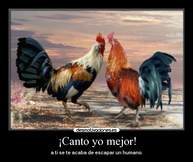¡Canto yo mejor! -