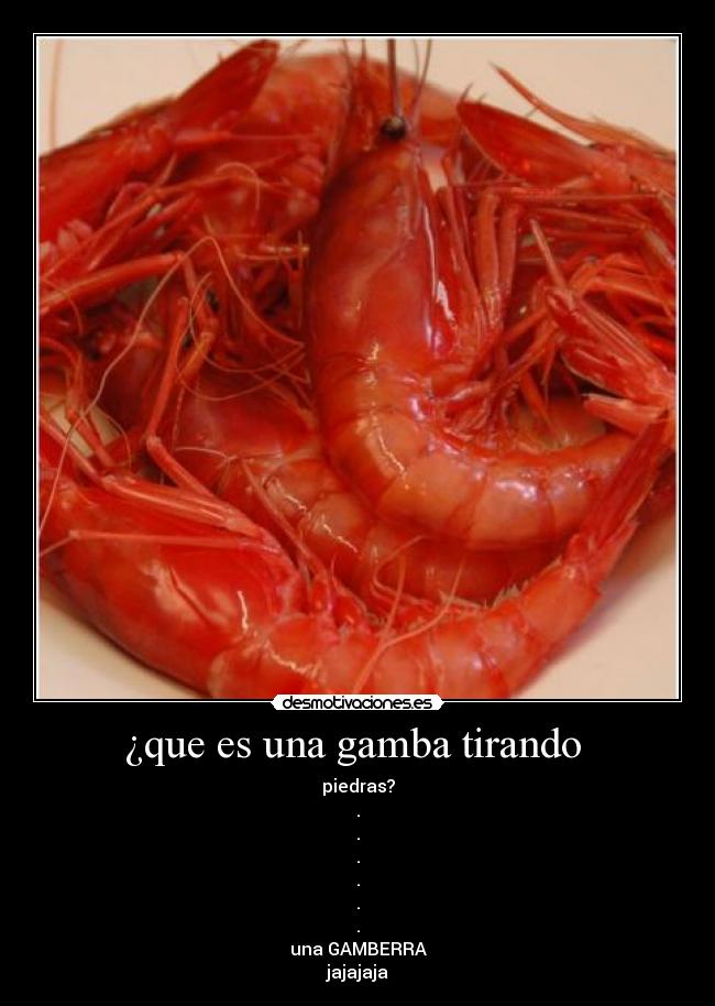 ¿que es una gamba tirando  - 